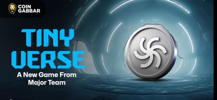 Tiny Verse, новый проект связан с создателем Major